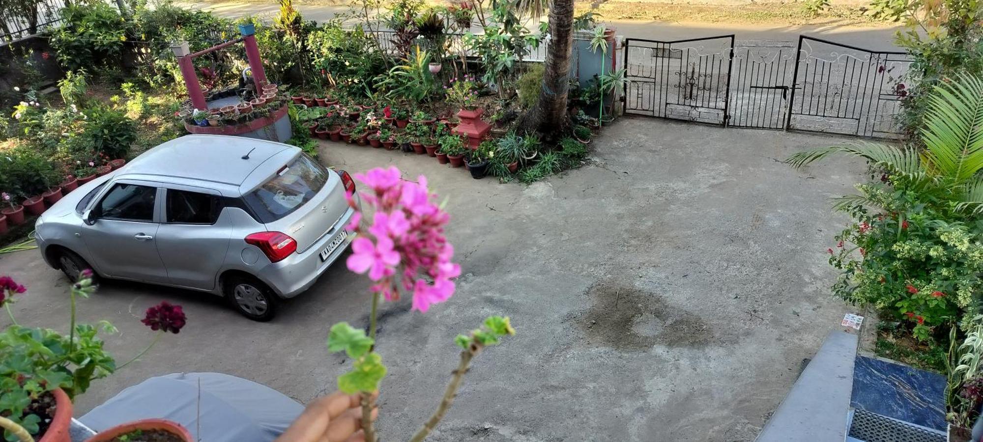 Royal Palm Homestay ماديكيري المظهر الخارجي الصورة