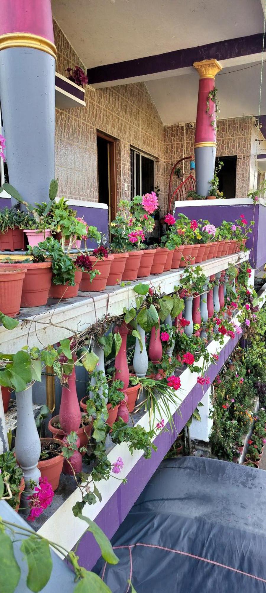 Royal Palm Homestay ماديكيري المظهر الخارجي الصورة